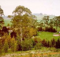 The Tasmanian Arboretum - Foster Accommodation