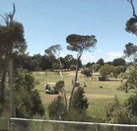 Greens Beach Golf Course - Foster Accommodation