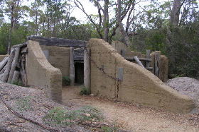  Foster Accommodation