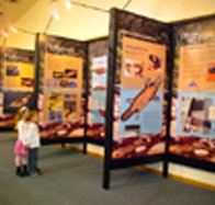 Platypus Experience - Foster Accommodation