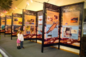 Platypus Experience - Foster Accommodation 0