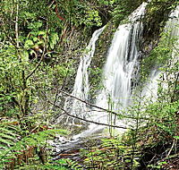 Hogarth Falls - Foster Accommodation