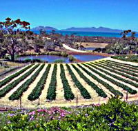 Kate's Berry Farm - Foster Accommodation