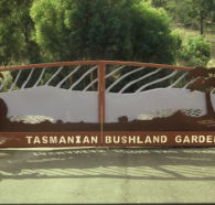 Tasmanian Bushland Garden - Foster Accommodation
