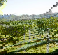 Surveyor's Hill Vineyards - Foster Accommodation