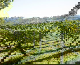 Surveyor's Hill Vineyards - Foster Accommodation 0