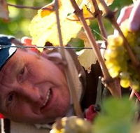 Puddleduck Vineyard - Foster Accommodation