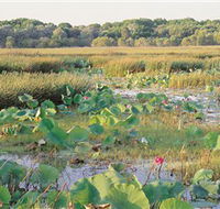 Fogg Dam Conservation Reserve - Foster Accommodation