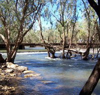 Low Level Nature Reserve - Foster Accommodation
