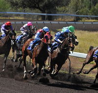Alice Springs Turf Club - Foster Accommodation