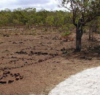 Wurrwurrwuy Garanhan Macassan Beach Interpretive Walk - Foster Accommodation