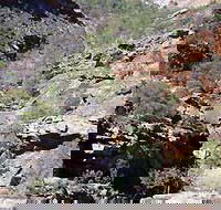 Serpentine Chalet Bush Camping Area - Foster Accommodation