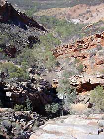 Serpentine Chalet Bush Camping Area - Foster Accommodation 0