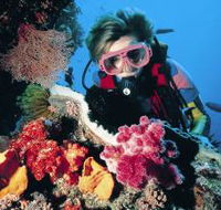 Cook Island Dive Site - Foster Accommodation