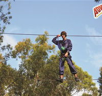 Adventure Parc at Currumbin Wildlife Sanctuary - Foster Accommodation