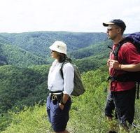 Sunshine Coast Hinterland Great Walk - Foster Accommodation