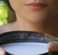 Ikatan Day Spa - Foster Accommodation