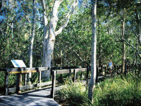 Noosa Heads QLD Foster Accommodation