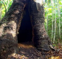 Tewantin National Park - Foster Accommodation