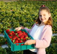 Strawberry Fields - Foster Accommodation