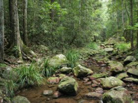 Amamoor State Forest - Foster Accommodation 0