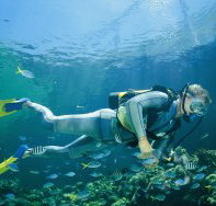 Tijou Reef - Foster Accommodation