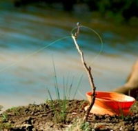 Charleville - Mangalore Warrego River Fishing Spot - Foster Accommodation