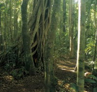 Mount Bithongabel - Foster Accommodation