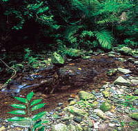 Wompoo Walk - Foster Accommodation