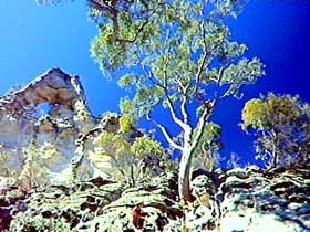 Mount Moffatt Section - Carnarvon National Park - Foster Accommodation 0