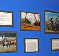 Town Hall Photographic Display - Foster Accommodation