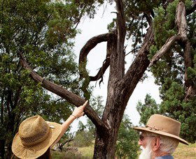 Charleville - Outback Native Timber Walk - Foster Accommodation 0