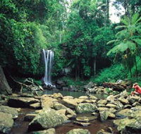 Tamborine National Park - Foster Accommodation