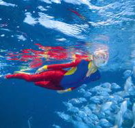 Outer Rocks Dive Site - Foster Accommodation