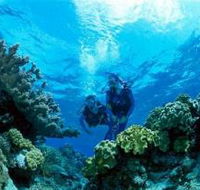 Coral Gardens Dive Site - Foster Accommodation