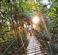 Tree Top Walkway - Foster Accommodation
