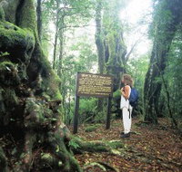 Tooloona Creek circuit - Foster Accommodation