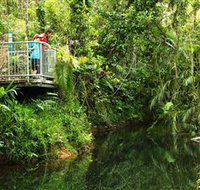 Djiru National Park - Foster Accommodation