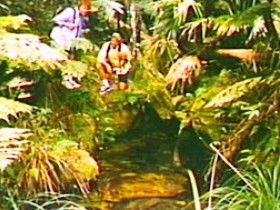 The Tombs Circuit - Foster Accommodation 0