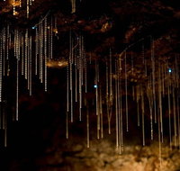 Cedar Creek Estate - Foster Accommodation