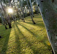 Tondoon Botanic Gardens - Foster Accommodation