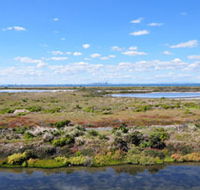 Point Cook Coastal Park - Foster Accommodation