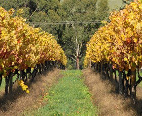 Wild Dog Winery & Restaurant - Foster Accommodation 0