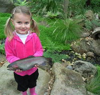 Wild Food Farm  Cafe - Foster Accommodation