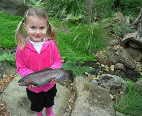 Wild Food Farm & Cafe - Foster Accommodation 0