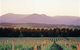 Domaine Chandon - thumb 0