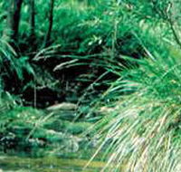Lerderderg State Park - Foster Accommodation