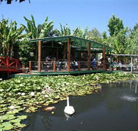 Blue Lotus Water Garden - Foster Accommodation