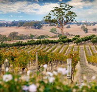 Redesdale Estate - Foster Accommodation