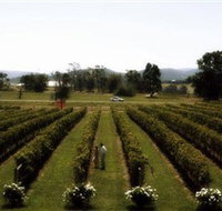 Rochford Wines - Foster Accommodation